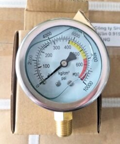 Đồng hồ đo áp suất bơm keo